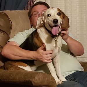 Meet your Posher, George